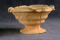Cronica Cercetărilor Arheologice din România, Campania 2001. Raportul nr. 181.<br /> Sectorul Piese-inventar-necropola.