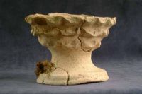 Cronica Cercetărilor Arheologice din România, Campania 2001. Raportul nr. 181.<br /> Sectorul Piese-inventar-necropola.