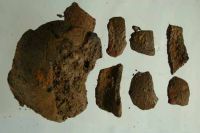 Cronica Cercetărilor Arheologice din România, Campania 2001. Raportul nr. 181.<br /> Sectorul Piese-inventar-necropola.