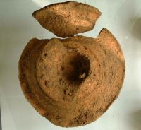 Cronica Cercetărilor Arheologice din România, Campania 2001. Raportul nr. 181.<br /> Sectorul Piese-inventar-necropola.