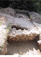 Cronica Cercetărilor Arheologice din România, Campania 2001. Raportul nr. 182