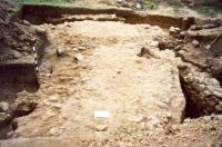 Cronica Cercetărilor Arheologice din România, Campania 2001. Raportul nr. 182
