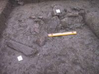 Cronica Cercetărilor Arheologice din România, Campania 2001. Raportul nr. 183.<br /> Sectorul Imagini.