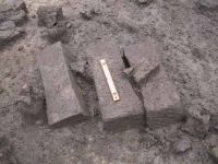 Cronica Cercetărilor Arheologice din România, Campania 2001. Raportul nr. 183.<br /> Sectorul Imagini.