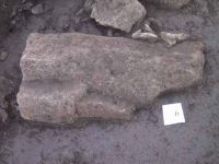 Cronica Cercetărilor Arheologice din România, Campania 2001. Raportul nr. 183.<br /> Sectorul Imagini.