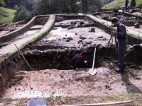 Cronica Cercetărilor Arheologice din România, Campania 2001. Raportul nr. 183.<br /> Sectorul Imagini.