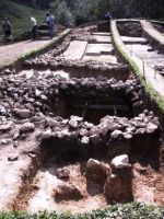 Cronica Cercetărilor Arheologice din România, Campania 2001. Raportul nr. 183.<br /> Sectorul Imagini.