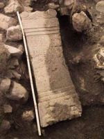 Cronica Cercetărilor Arheologice din România, Campania 2001. Raportul nr. 183.<br /> Sectorul Imagini.