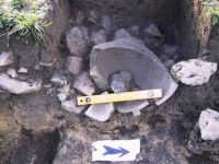 Cronica Cercetărilor Arheologice din România, Campania 2001. Raportul nr. 183.<br /> Sectorul Imagini.