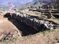 Cronica Cercetărilor Arheologice din România, Campania 2001. Raportul nr. 183.<br /> Sectorul Imagini.