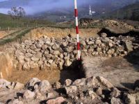 Cronica Cercetărilor Arheologice din România, Campania 2001. Raportul nr. 183.<br /> Sectorul Imagini.