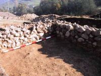 Cronica Cercetărilor Arheologice din România, Campania 2001. Raportul nr. 183.<br /> Sectorul Imagini.