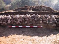 Cronica Cercetărilor Arheologice din România, Campania 2001. Raportul nr. 183.<br /> Sectorul Imagini.