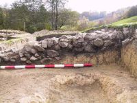Cronica Cercetărilor Arheologice din România, Campania 2001. Raportul nr. 183.<br /> Sectorul Imagini.