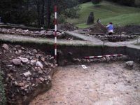 Cronica Cercetărilor Arheologice din România, Campania 2001. Raportul nr. 183.<br /> Sectorul Imagini.