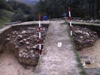 Cronica Cercetărilor Arheologice din România, Campania 2001. Raportul nr. 183.<br /> Sectorul Imagini.