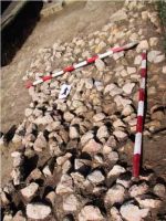 Cronica Cercetărilor Arheologice din România, Campania 2001. Raportul nr. 183.<br /> Sectorul Imagini.