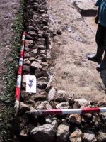 Cronica Cercetărilor Arheologice din România, Campania 2001. Raportul nr. 183.<br /> Sectorul Imagini.