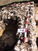 Cronica Cercetărilor Arheologice din România, Campania 2001. Raportul nr. 183.<br /> Sectorul Imagini.