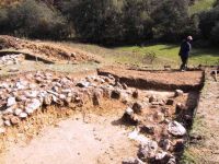 Cronica Cercetărilor Arheologice din România, Campania 2001. Raportul nr. 183.<br /> Sectorul Imagini.