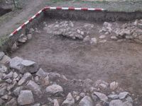 Cronica Cercetărilor Arheologice din România, Campania 2001. Raportul nr. 183.<br /> Sectorul Imagini.