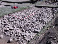 Cronica Cercetărilor Arheologice din România, Campania 2001. Raportul nr. 183.<br /> Sectorul Imagini.