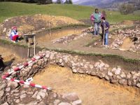 Cronica Cercetărilor Arheologice din România, Campania 2001. Raportul nr. 183.<br /> Sectorul Imagini.