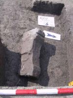 Cronica Cercetărilor Arheologice din România, Campania 2001. Raportul nr. 183.<br /> Sectorul Imagini.
