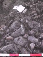 Cronica Cercetărilor Arheologice din România, Campania 2001. Raportul nr. 183.<br /> Sectorul Imagini.
