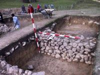 Cronica Cercetărilor Arheologice din România, Campania 2001. Raportul nr. 183.<br /> Sectorul Imagini.