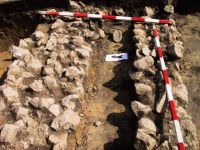 Cronica Cercetărilor Arheologice din România, Campania 2001. Raportul nr. 183.<br /> Sectorul Imagini.