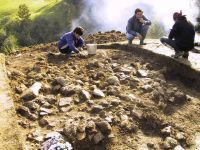 Cronica Cercetărilor Arheologice din România, Campania 2001. Raportul nr. 183.<br /> Sectorul Imagini.