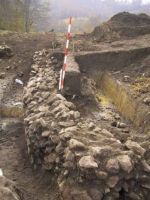 Cronica Cercetărilor Arheologice din România, Campania 2001. Raportul nr. 183.<br /> Sectorul Imagini.