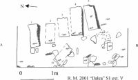 Cronica Cercetărilor Arheologice din România, Campania 2001. Raportul nr. 183.<br /> Sectorul Planse.