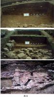Cronica Cercetărilor Arheologice din România, Campania 2001. Raportul nr. 184