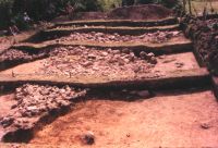 Cronica Cercetărilor Arheologice din România, Campania 2001. Raportul nr. 185