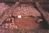 Cronica Cercetărilor Arheologice din România, Campania 2001. Raportul nr. 185