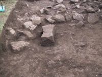 Cronica Cercetărilor Arheologice din România, Campania 2001. Raportul nr. 185