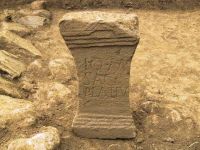 Cronica Cercetărilor Arheologice din România, Campania 2001. Raportul nr. 185