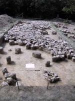 Cronica Cercetărilor Arheologice din România, Campania 2001. Raportul nr. 185