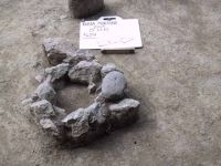 Cronica Cercetărilor Arheologice din România, Campania 2001. Raportul nr. 185