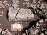 Cronica Cercetărilor Arheologice din România, Campania 2001. Raportul nr. 185