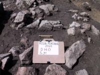 Cronica Cercetărilor Arheologice din România, Campania 2001. Raportul nr. 185