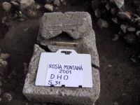 Cronica Cercetărilor Arheologice din România, Campania 2001. Raportul nr. 185