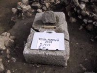 Cronica Cercetărilor Arheologice din România, Campania 2001. Raportul nr. 185