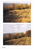 Cronica Cercetărilor Arheologice din România, Campania 2001. Raportul nr. 186