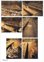 Cronica Cercetărilor Arheologice din România, Campania 2001. Raportul nr. 186