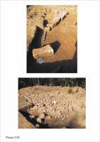 Cronica Cercetărilor Arheologice din România, Campania 2001. Raportul nr. 186