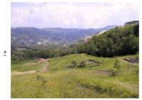 Cronica Cercetărilor Arheologice din România, Campania 2001. Raportul nr. 187