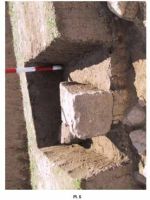 Cronica Cercetărilor Arheologice din România, Campania 2001. Raportul nr. 187